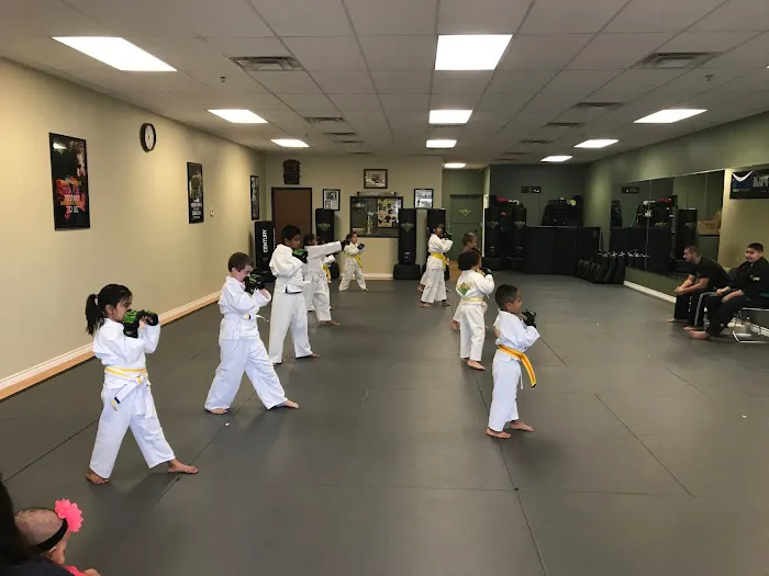 Premier Martial Arts Plano, Tx Picture 4