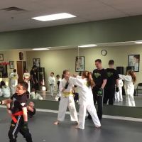 Premier Martial Arts Plano, Tx ico