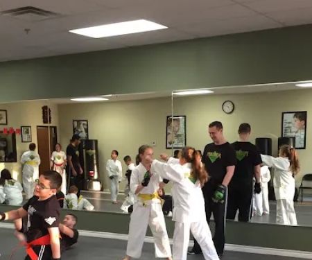Premier Martial Arts Plano, Tx