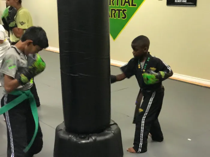 Premier Martial Arts Plano, Tx Picture 3