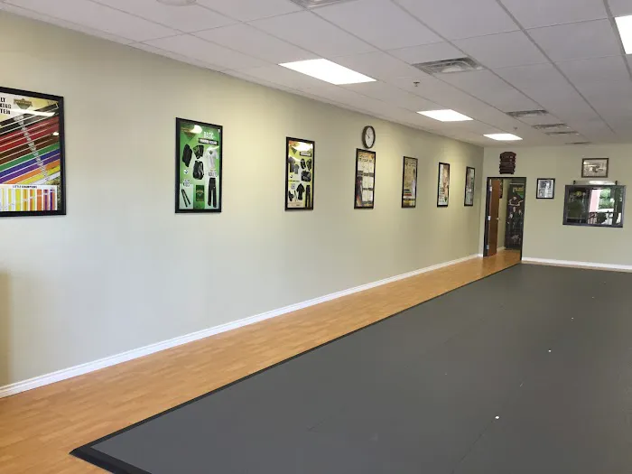 Premier Martial Arts Plano, Tx Picture 2