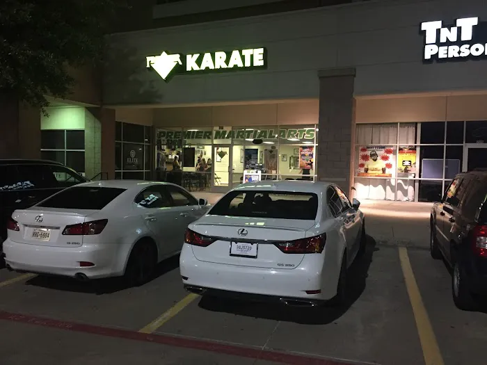 Premier Martial Arts Plano, Tx Picture 6