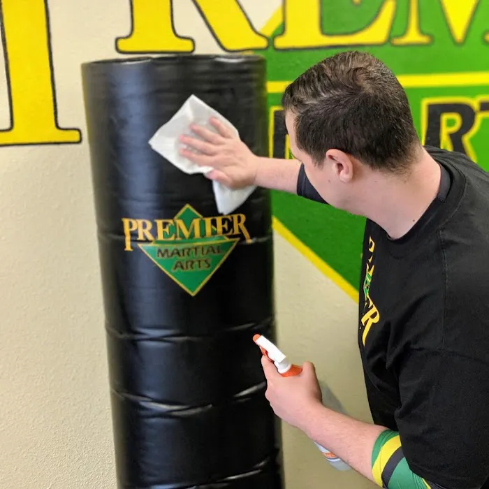 Premier Martial Arts Plano, Tx Picture 7