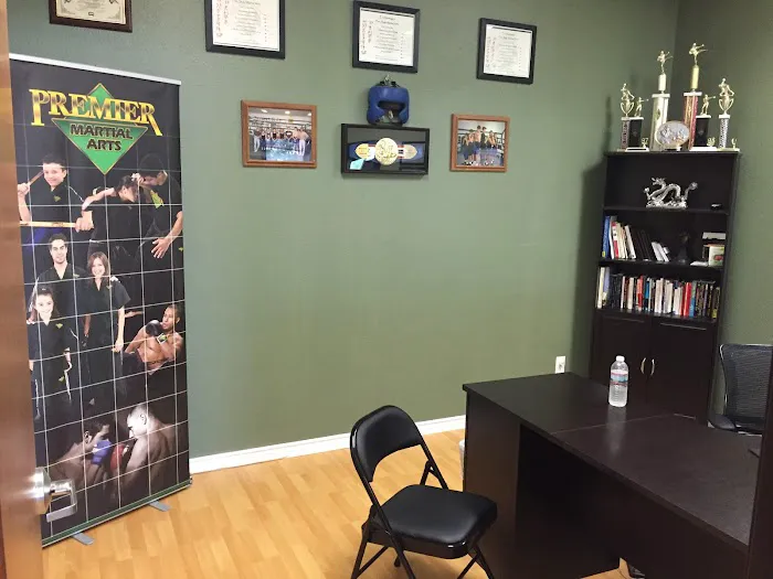 Premier Martial Arts Plano, Tx Picture 9