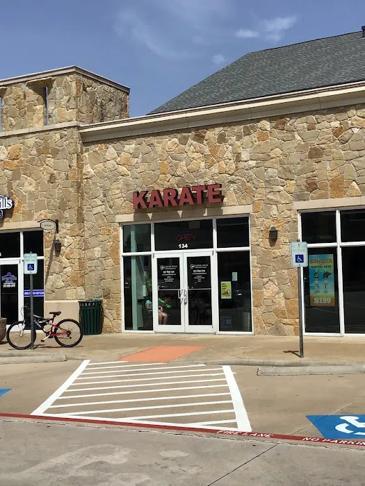 Castle Hills Taekwondo America Picture 1