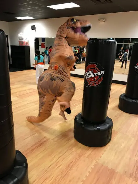 Castle Hills Taekwondo America Picture 7