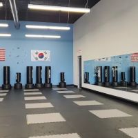 Plano Taekwondo America ico