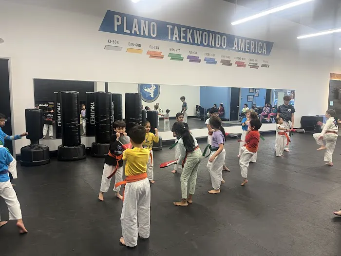 Plano Taekwondo America Picture 5