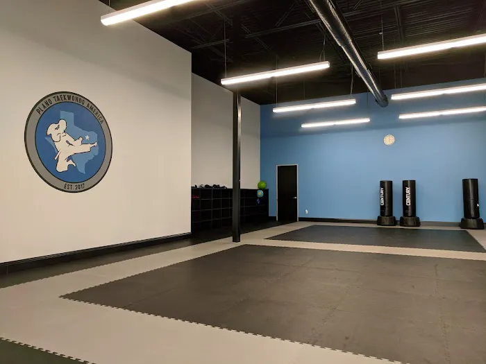 Plano Taekwondo America Picture 4