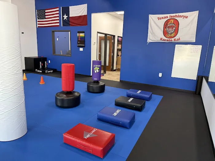 TXI Karate Picture 5