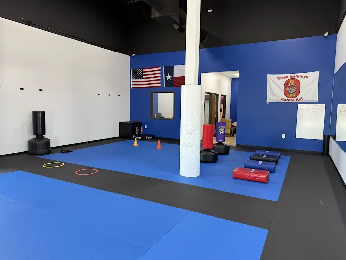 TXI Karate Picture 3