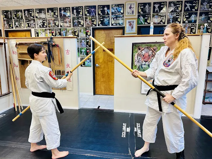 TXI Karate Picture 7