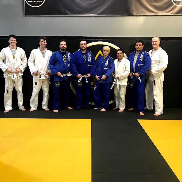 Hicks Mixed Martial Arts Picture 2