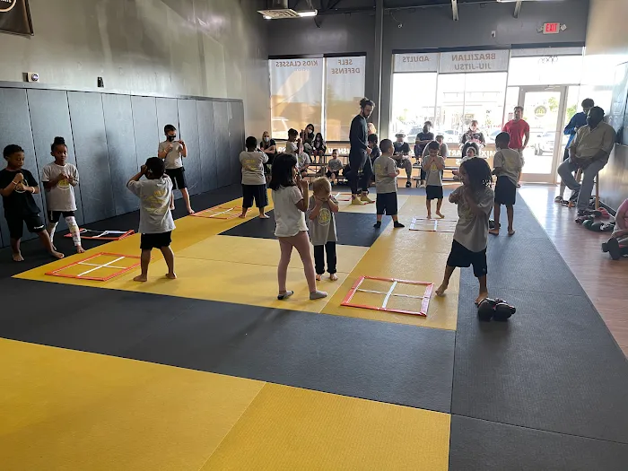 Hicks Mixed Martial Arts Picture 6