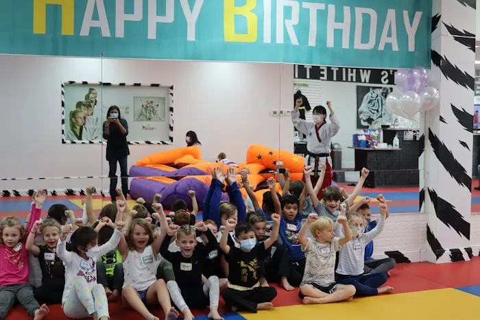 Kim's White Tiger Taekwondo Martial arts & After School Picture 3