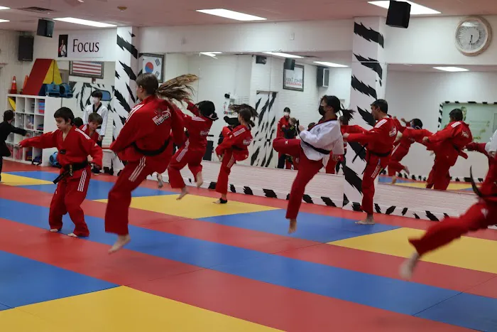 Kim's White Tiger Taekwondo Martial arts & After School Picture 5