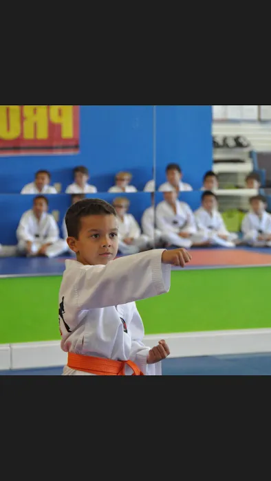 Kim's White Tiger Taekwondo Martial arts & After School Picture 7