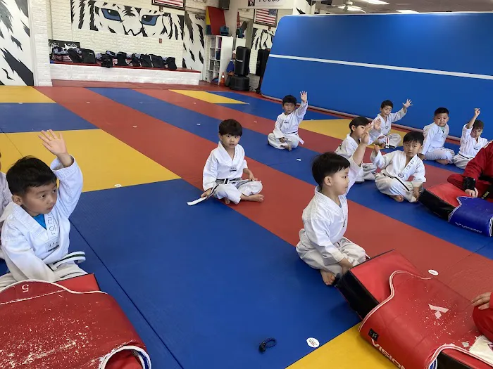 Kim's White Tiger Taekwondo Martial arts & After School Picture 6