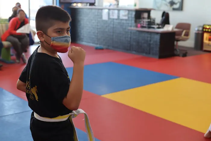 Kim's White Tiger Taekwondo Martial arts & After School Picture 10