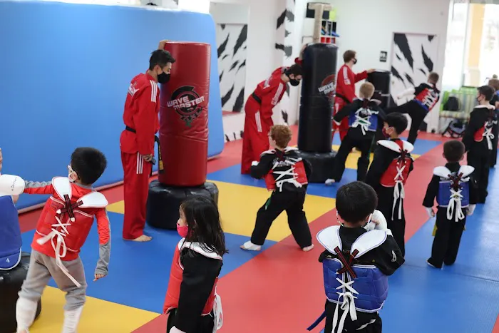 Kim's White Tiger Taekwondo Martial arts & After School Picture 9