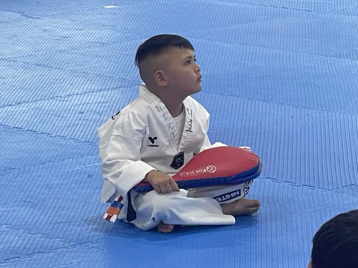 White Tiger Taekwondo Lewisville/Castle Hills/Carrollton TX Picture 3