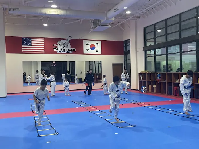 White Tiger Taekwondo Lewisville/Castle Hills/Carrollton TX Picture 7
