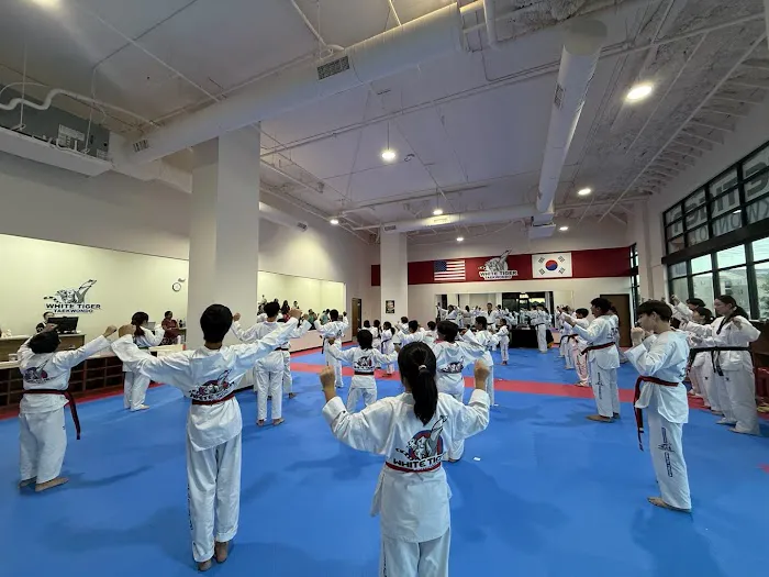 White Tiger Taekwondo Lewisville/Castle Hills/Carrollton TX Picture 10
