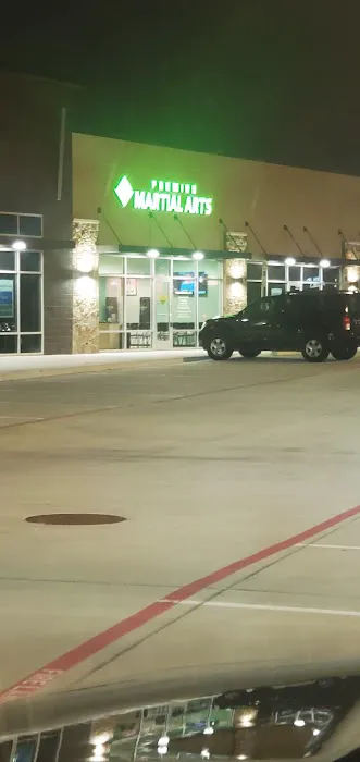 Premier Martial Arts Lewisville/Castle Hills Picture 1