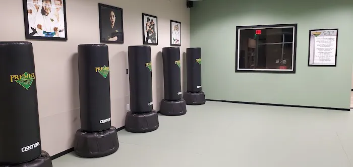 Premier Martial Arts Lewisville/Castle Hills Picture 3