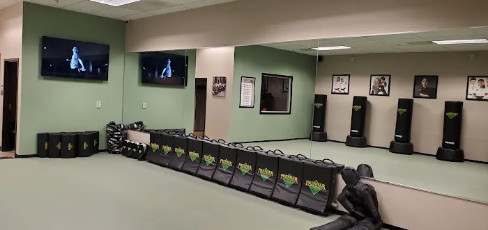 Premier Martial Arts Lewisville/Castle Hills Picture 4