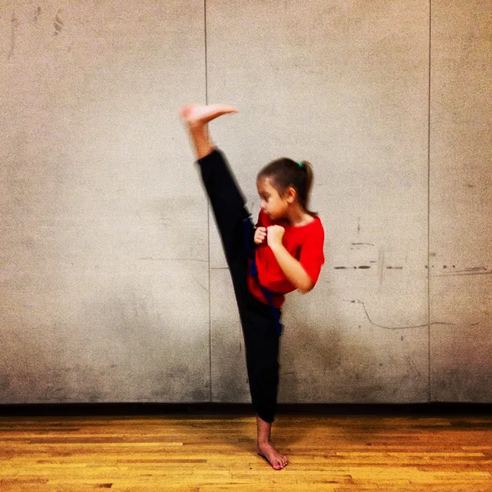 Dragon Claw Academy of Kung Fu Picture 5