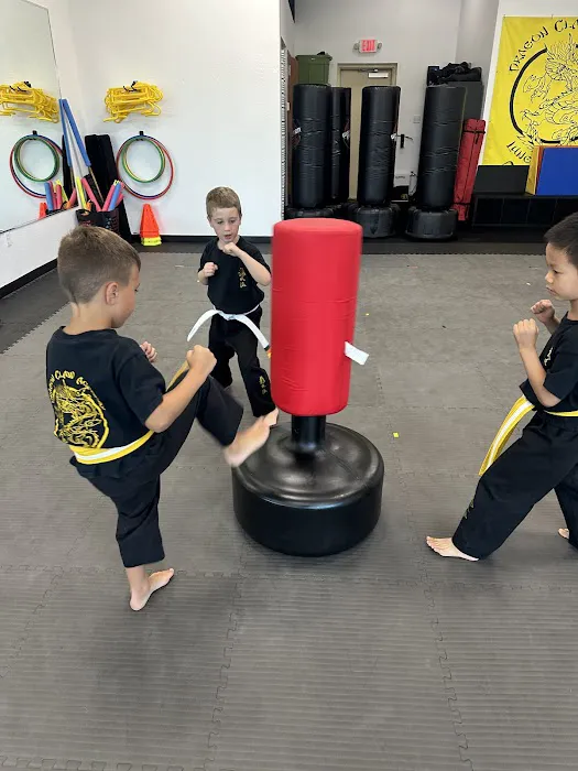 Dragon Claw Academy of Kung Fu Picture 7
