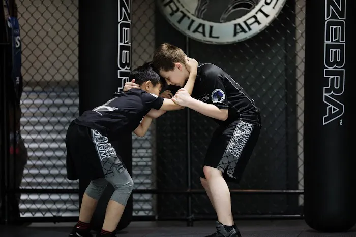 Warrior Martial Arts Academy Flower Mound Picture 4
