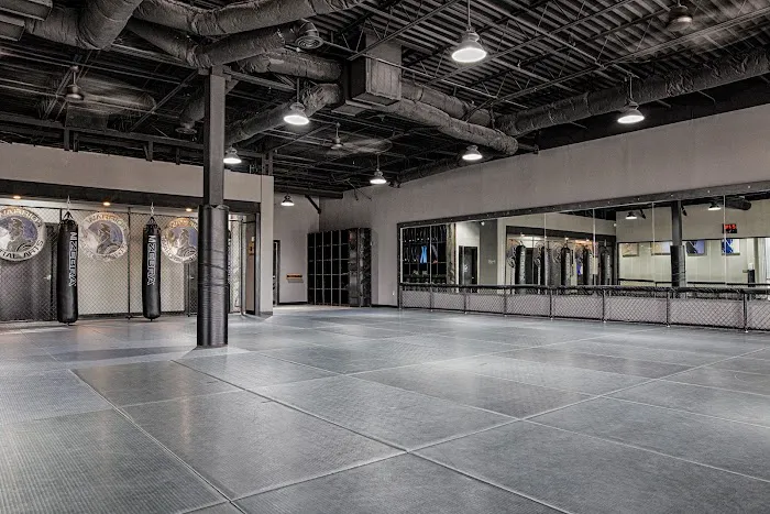 Warrior Martial Arts Academy Flower Mound Picture 2