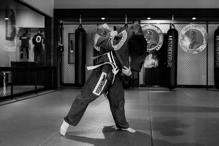 Warrior Martial Arts Academy Flower Mound Picture 8