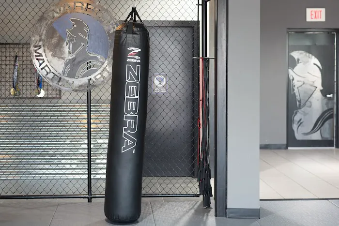 Warrior Martial Arts Academy Flower Mound Picture 5