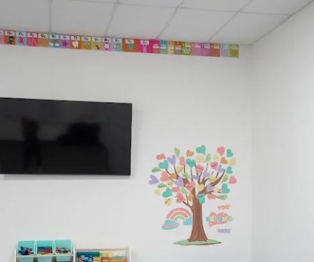 Pro Black Belt Academy - Flower Mound