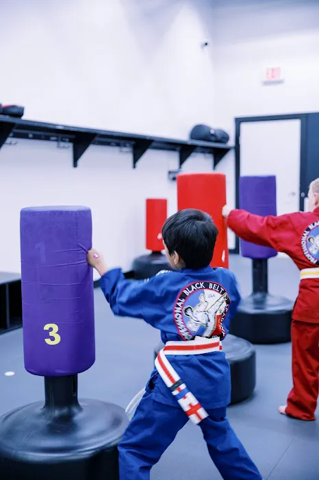 Pro Black Belt Academy - Flower Mound Picture 2