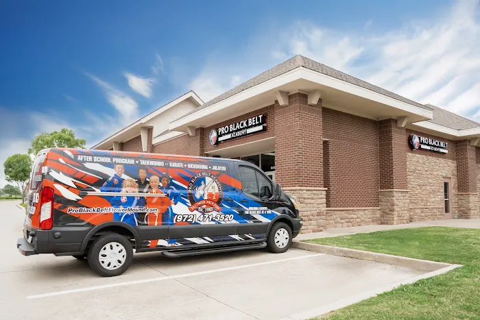 Pro Black Belt Academy - Flower Mound Picture 7