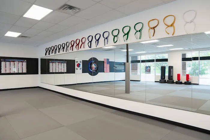 Pro Black Belt Academy - Flower Mound Picture 5