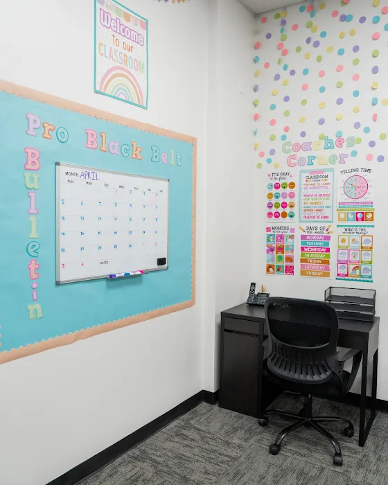 Pro Black Belt Academy - Flower Mound Picture 10