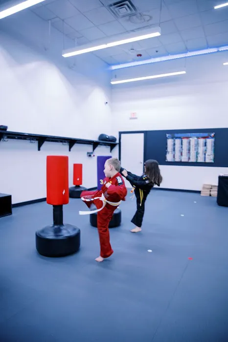 Pro Black Belt Academy - Flower Mound Picture 9