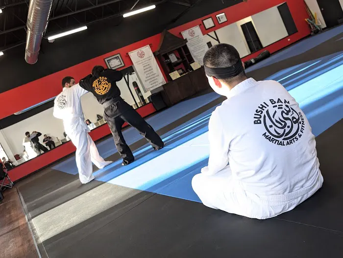 Bushi Ban DFW Martial Arts Picture 7