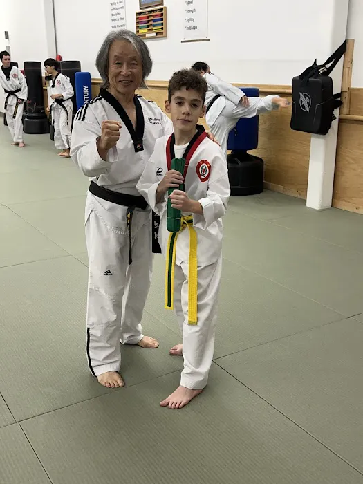 Dragon Kim's Taekwondo Picture 7