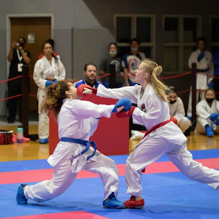 Academy of Classical Karate Picture 8