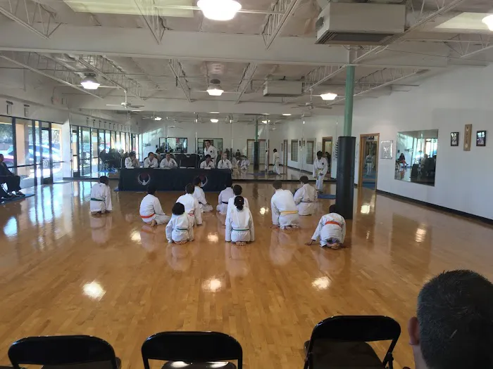 Academy of Classical Karate Picture 10