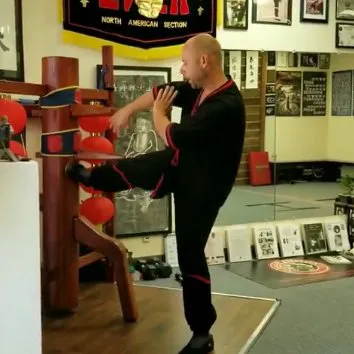 Dallas Wing Tsun Picture 2