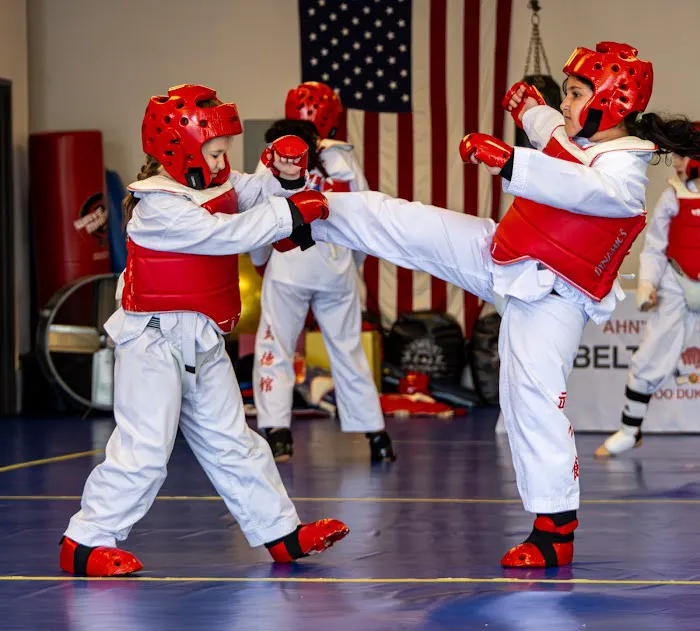 Ahn's Tae Kwon Do Institute Picture 5