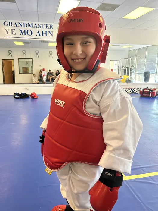 Ahn's Tae Kwon Do Institute Picture 9
