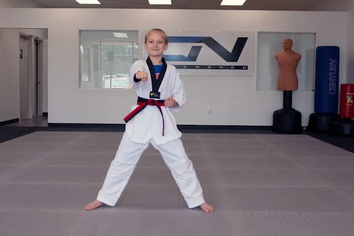 CN Taekwondo Olympic Academy Picture 2